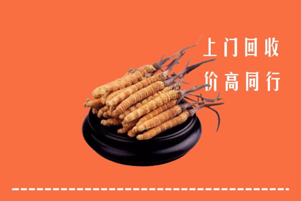 高价求购：荆门回收散虫草