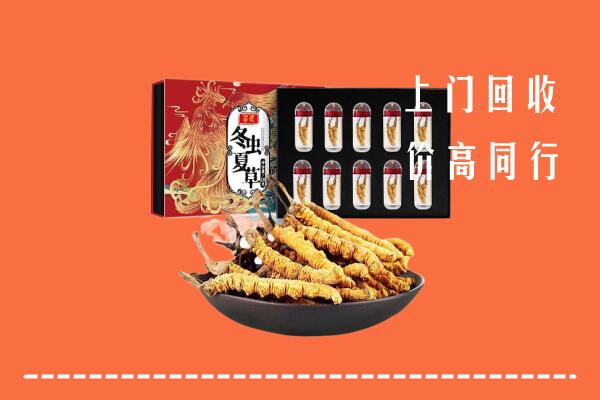 荆门回收虫草